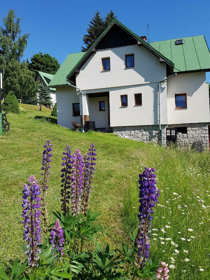 Apartmán U Kobrů Špindlerŭv Mlýn Exteriér fotografie